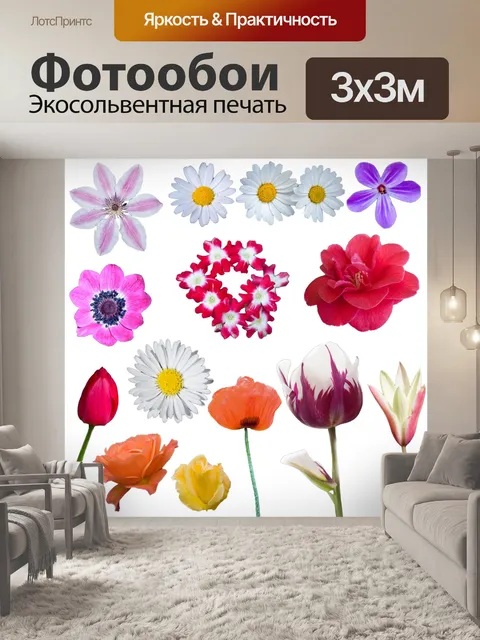 Фотообои Цветы