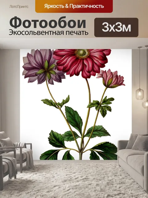 Фотообои Винтаж цветок анемона клипарт