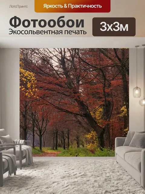 Фотообои Дорожка