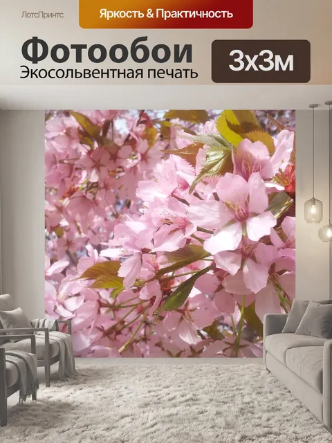 Фотообои Цветение вишни