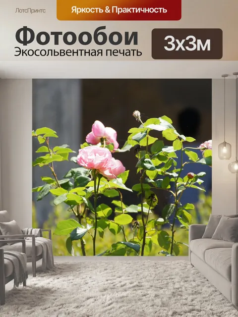Фотообои Роза