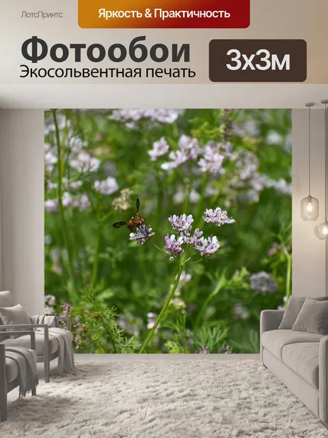 Фотообои Цветы
