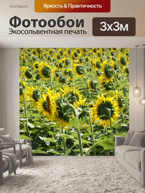 Фотообои Подсолнечное поле