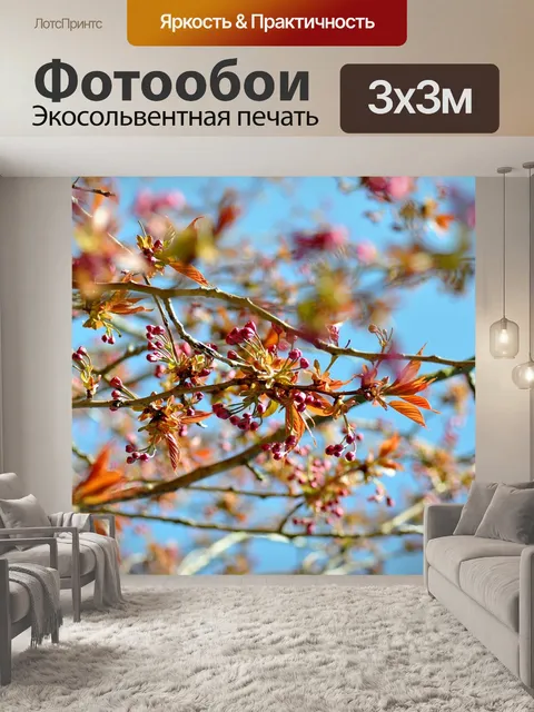 Фотообои Цветы