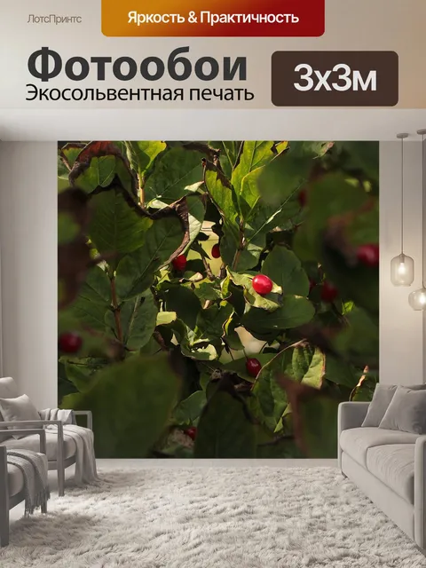 Фотообои Фрукты