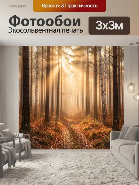 Фотообои Солнечный лесной путь осенью