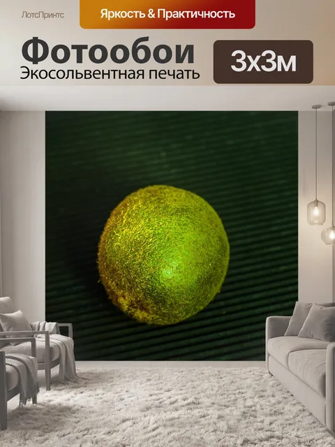 Фотообои Киви