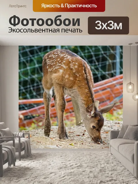 Фотообои Олень