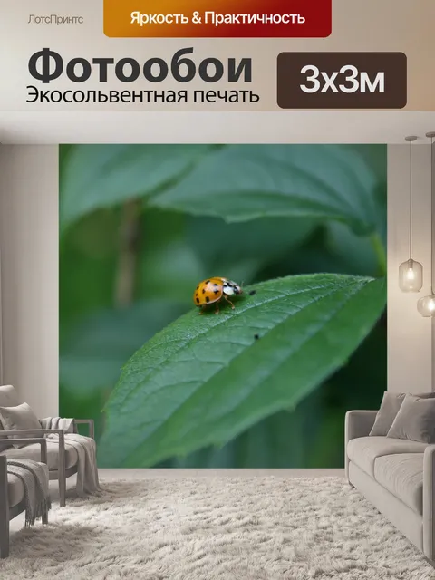 Фотообои Жук