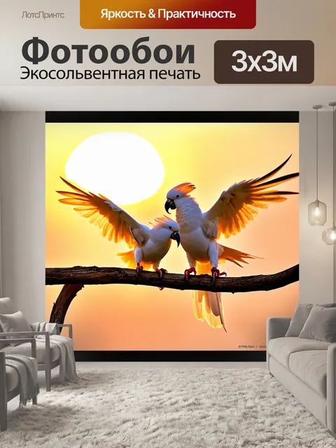 Фотообои пара какаду, играющих на ветке во время заката, свет солнца обрывается на их перьях, живописная работа, в…