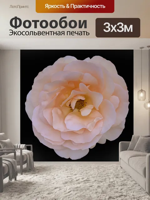 Фотообои Бледный