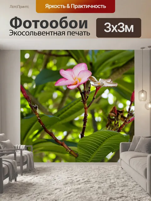 Фотообои Фарфор