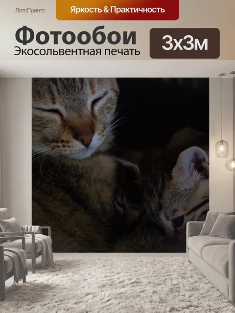 Фотообои Красота