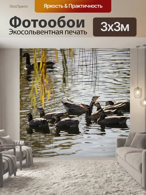 Фотообои Птица