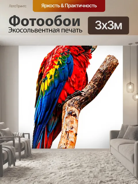 Фотообои Попугай Живопись