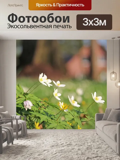 Фотообои Древесные анемоны