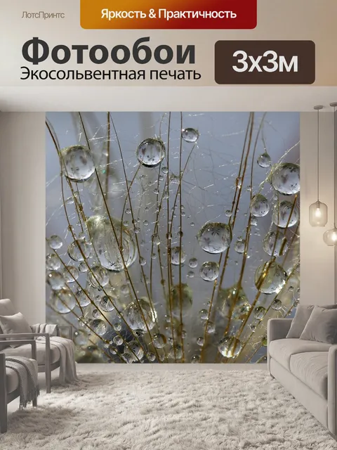 Фотообои Одуванчик