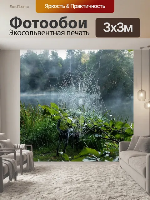 Фотообои Паук