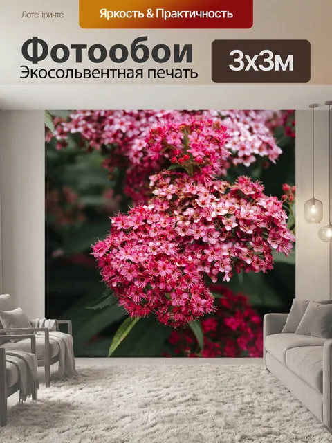 Фотообои Цветы