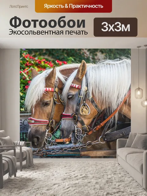 Фотообои Лошадь