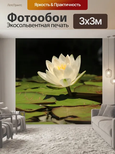 Фотообои Озеро