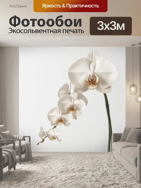 Фотообои Белые орхидеи на светлом фоне