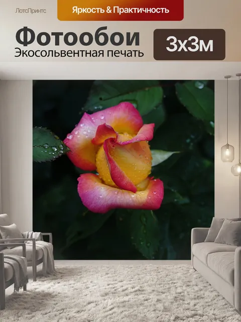 Фотообои Бутон розы