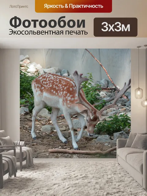Фотообои Олень