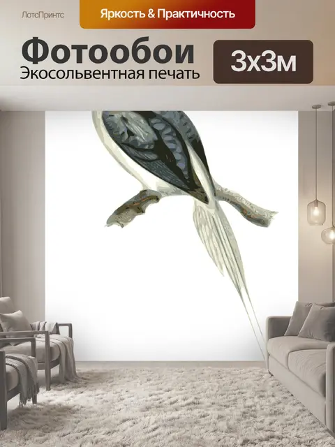 Фотообои Птица