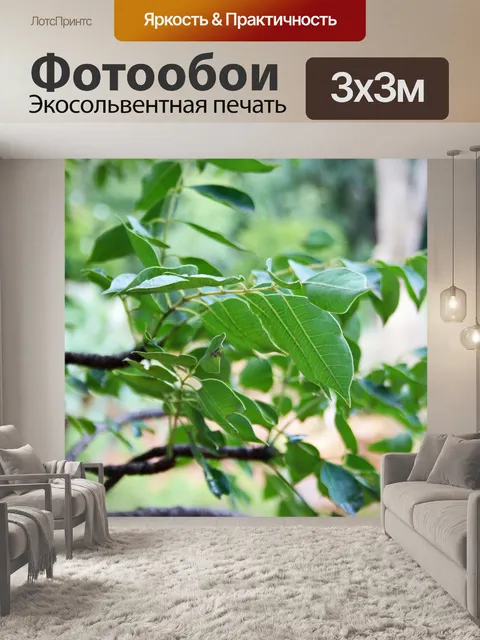 Фотообои зеленые яйцевидные листья на дереве