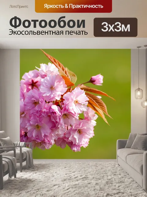 Фотообои Японская цветущая вишня