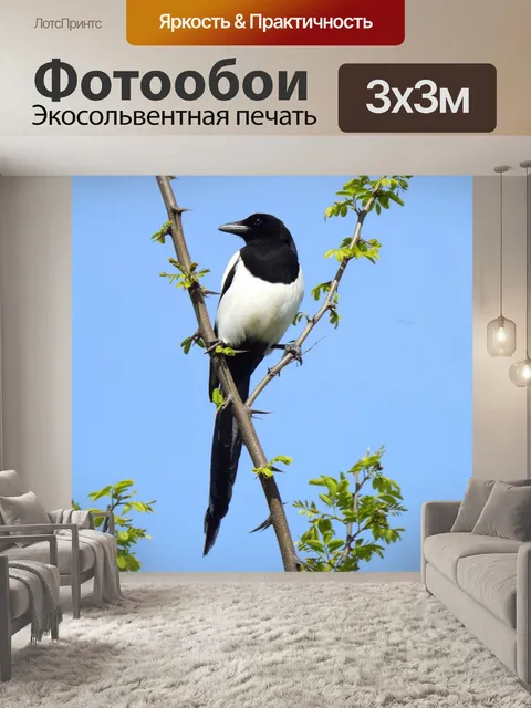 Фотообои Птицы