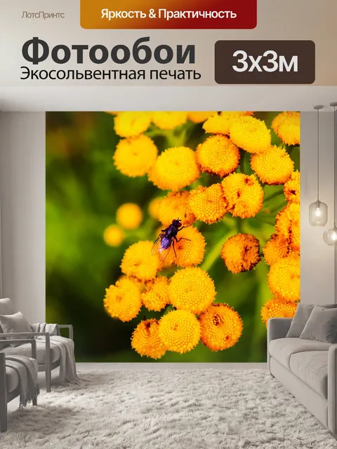 Фотообои Цветы