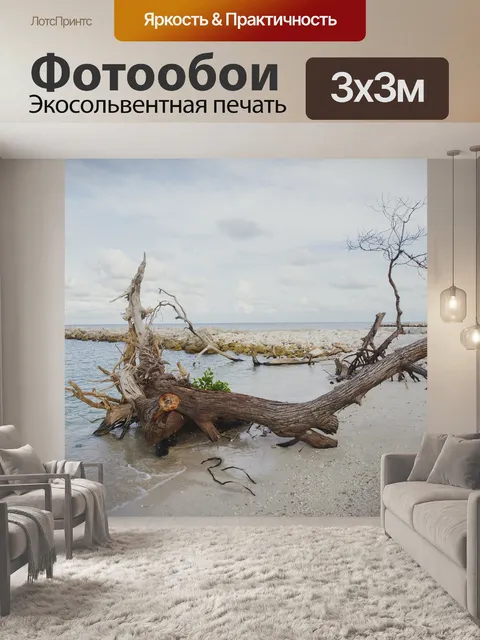 Фотообои Ствол