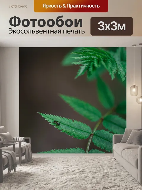 Фотообои Папоротник