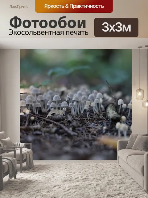 Фотообои Грибы