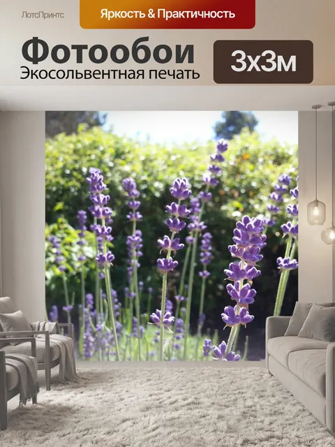 Фотообои Лаванда