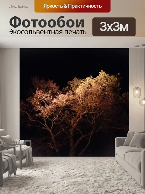 Фотообои Свет
