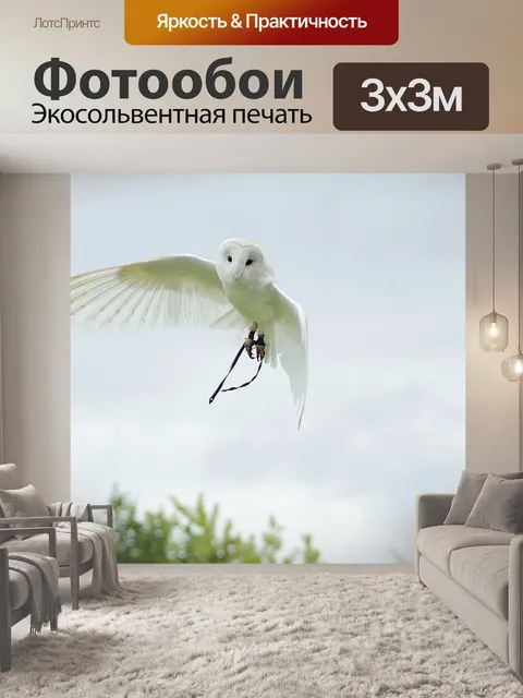 Фотообои Совы