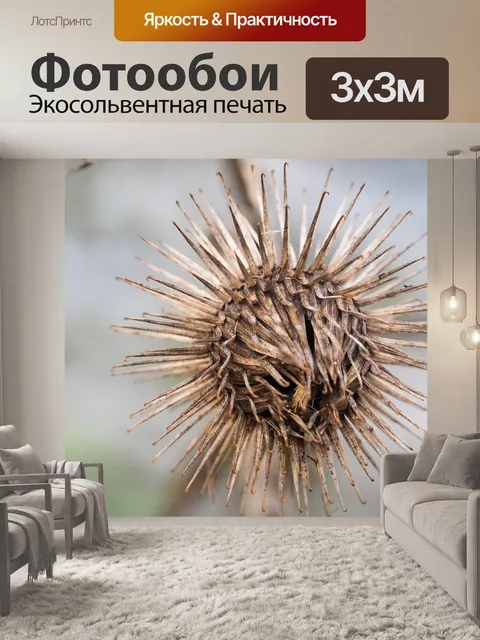 Фотообои Осень