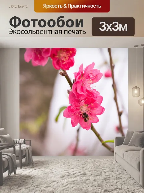 Фотообои Персик