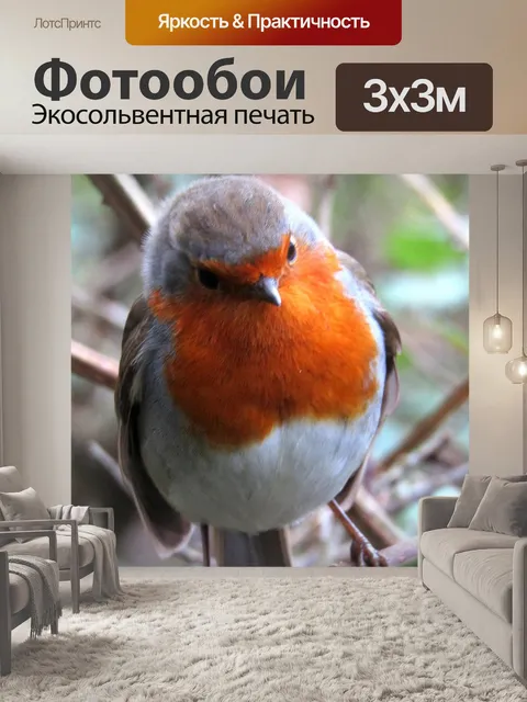 Фотообои Птицы