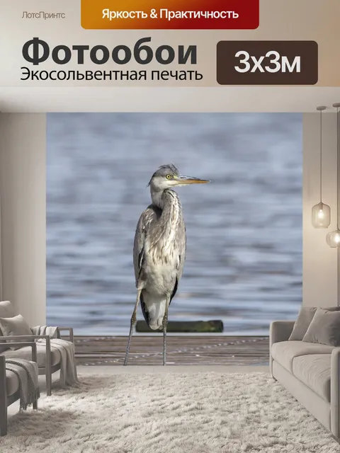 Фотообои Птица