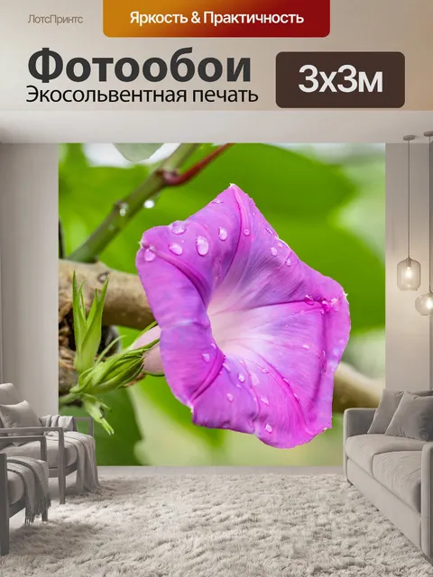 Фотообои Цветы