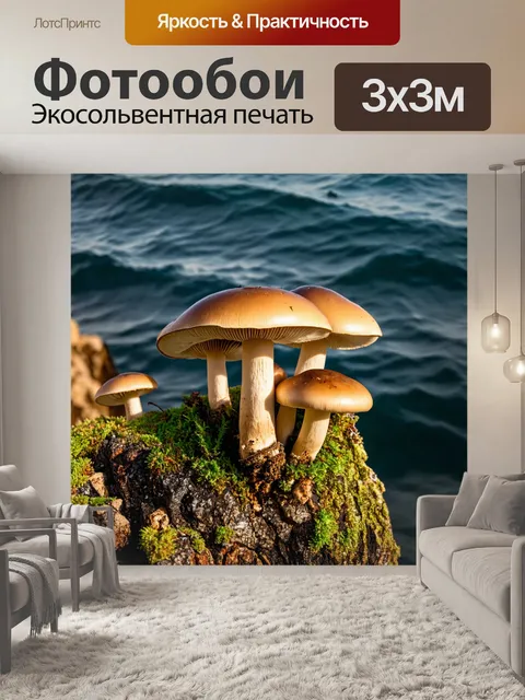 Фотообои грибы, находящиеся на скале, обрывающейся в темное море