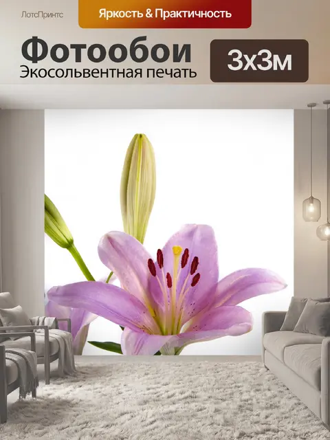 Фотообои Лилии Цветы