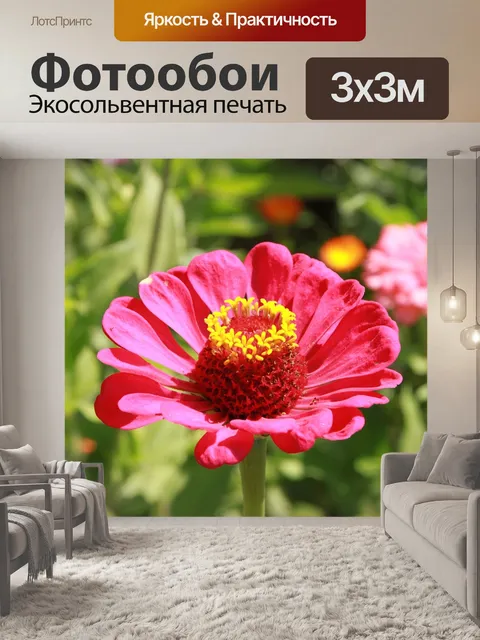 Фотообои Цвета