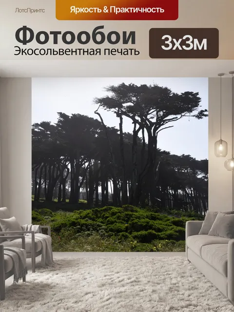 Фотообои Деревья с ветром