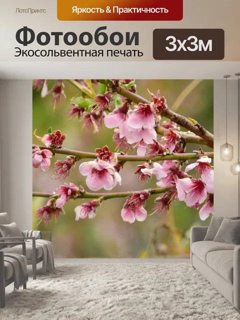 Фотообои Персик