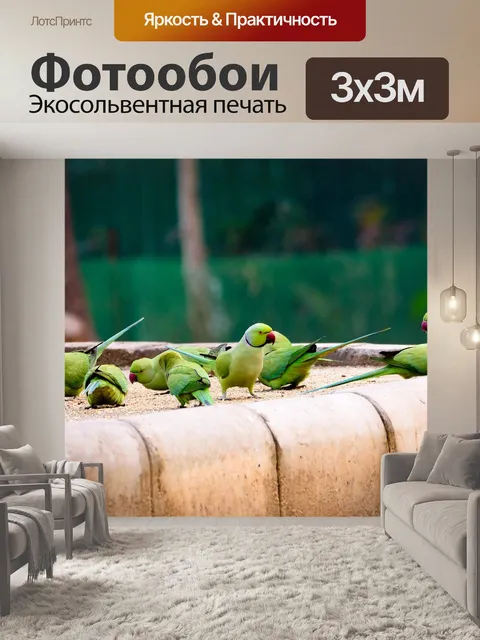 Фотообои Птица